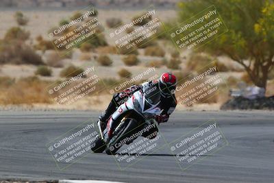 media/Apr-10-2022-SoCal Trackdays (Sun) [[f104b12566]]/Turn 5 Tree of Life (1040am)/